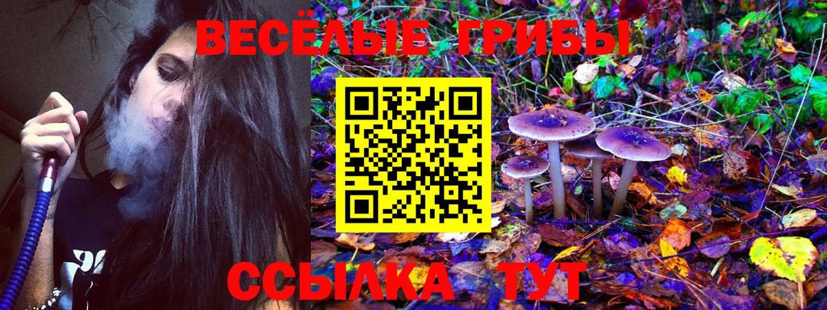 Сургут  Галлюциногенные грибы Psilocybine cubensis  Вход с VPN  Галлюциногенные грибы мухоморы 